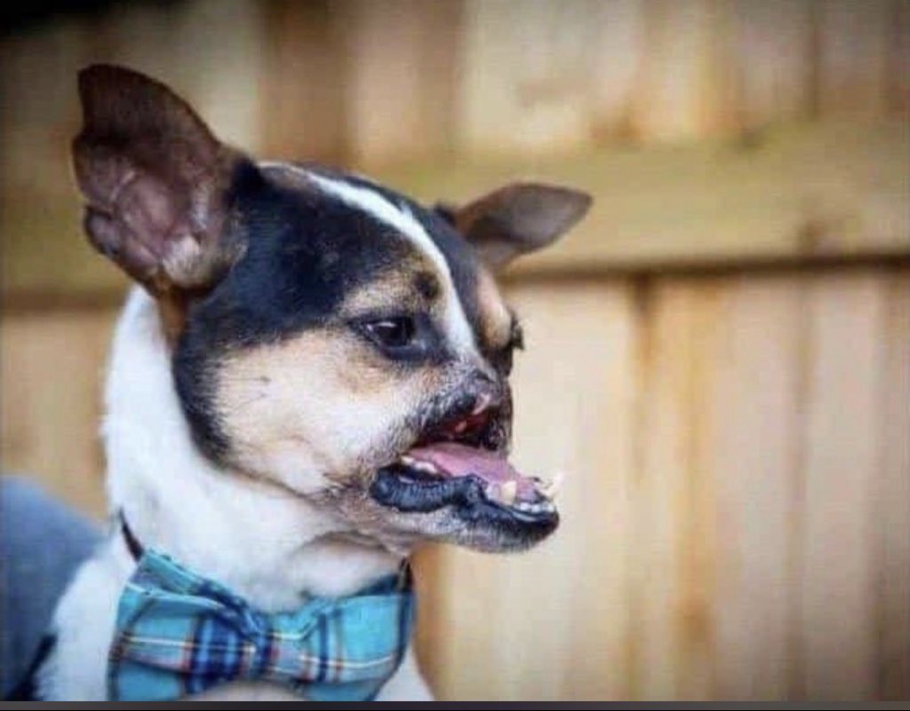 “I love you but as a friend ”😏😂