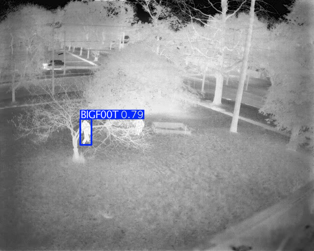 D3 Embedded tweet media