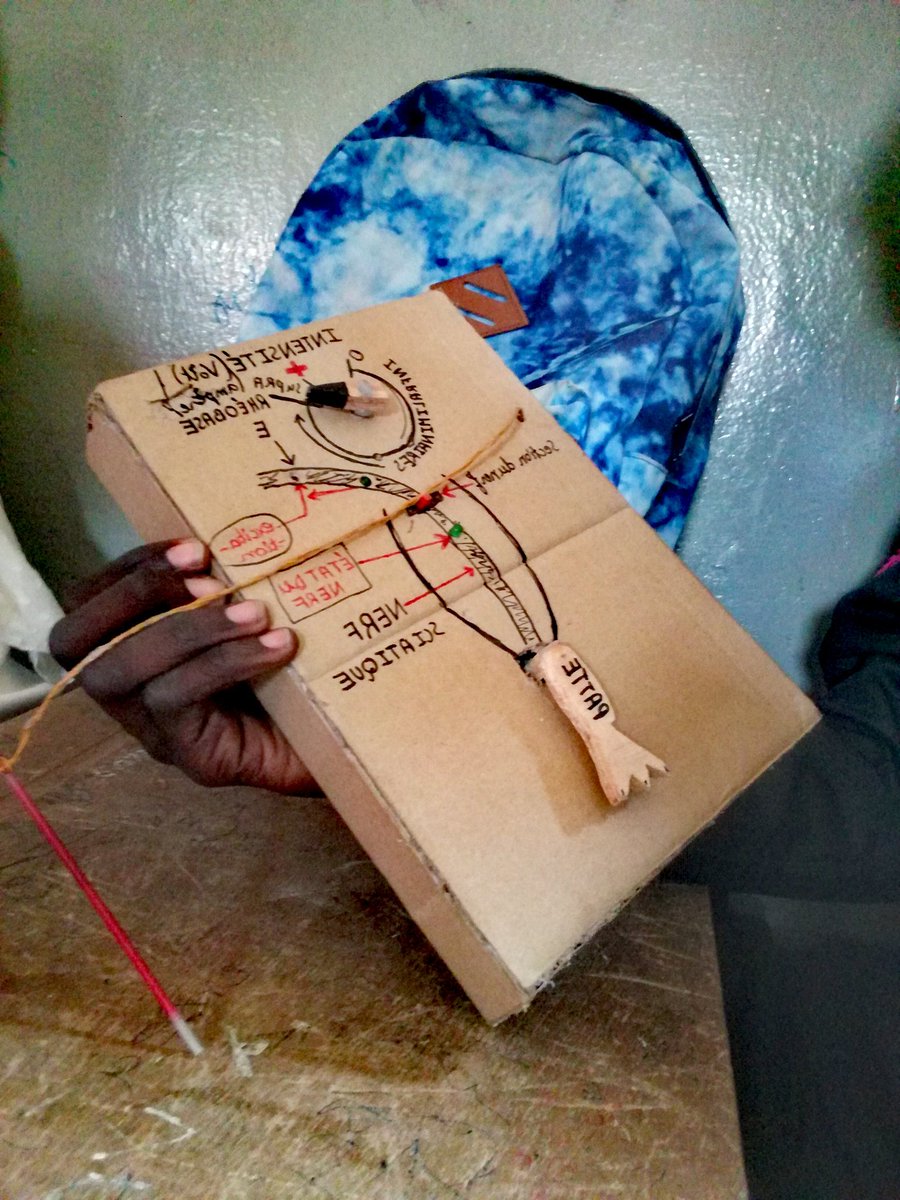 Mouhamadou23294's tweet image. On fabriquait des maquettes en carton pour visualiser le trajet de l’influx nerveux. Cette méthode simple aidait à mieux retenir et à rendre la leçon vivante.

#SVT #Science #Apprentissage #Créativité