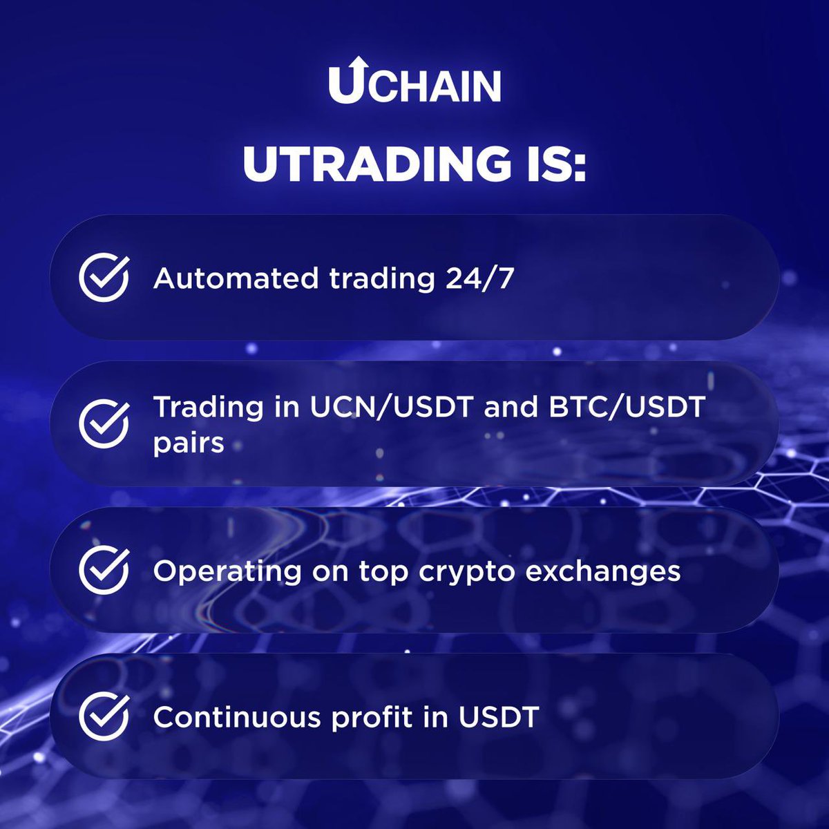 USDTONE Crypto Successful Trading Plan - Read Our Findings Here.wvd
