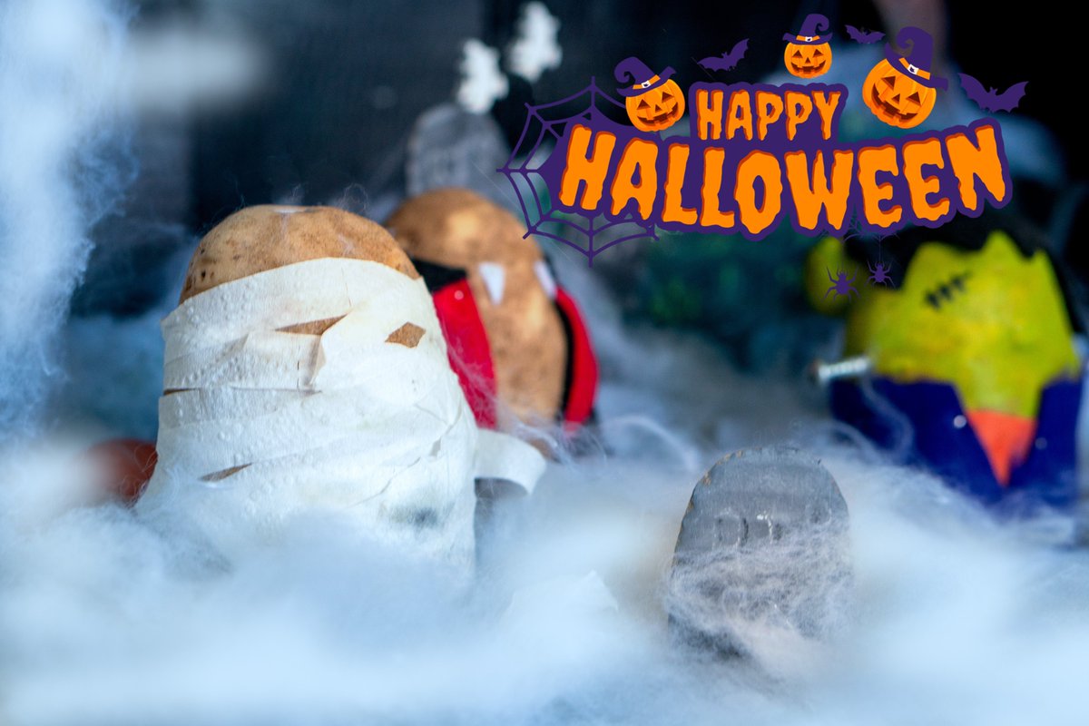 Happy Halloween from Potatoes NB! 
Even our potatoes are getting into the spirit this year with their costumes! 
#halloween2025 #halloweencostume #potatoesnb #potatoes #newbrunswickcanada #canada #Halloween