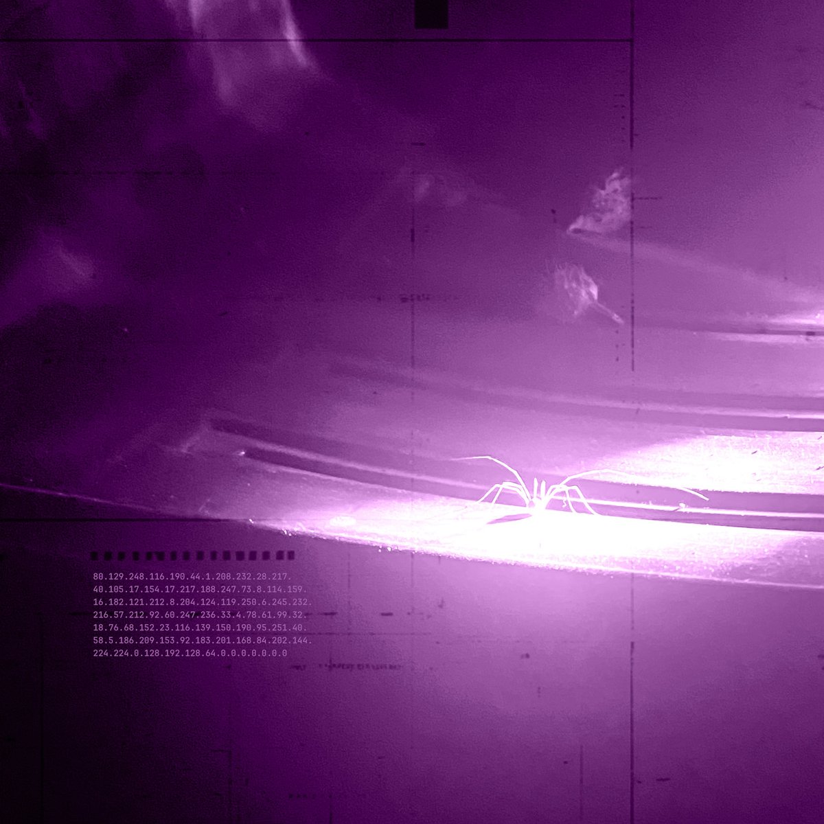 CellOfSix's tweet image. A visitor in my cell. Happy Halloween.
#SixCode