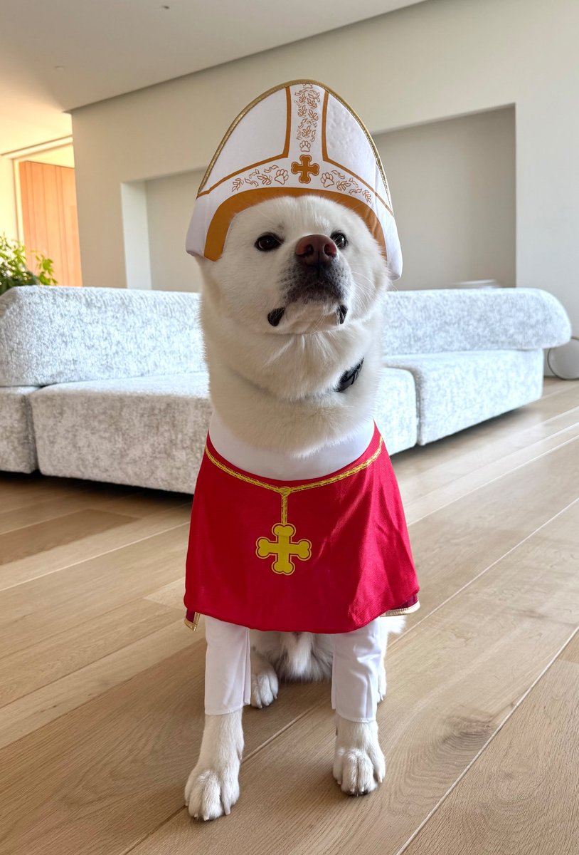 Happy Halloween from the @Coinbase Dog 🎃🖤