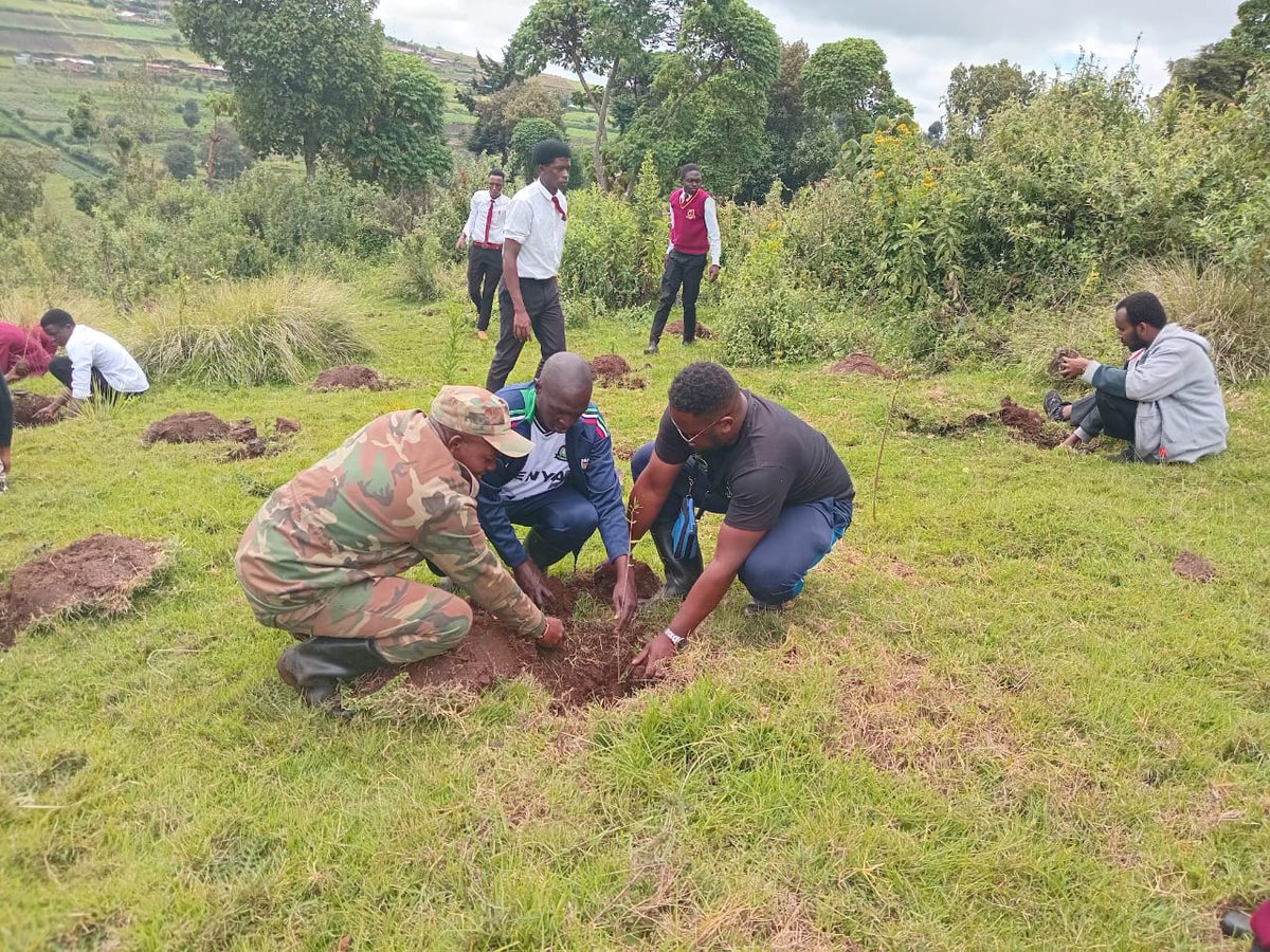 Kenya Forest Service tweet media