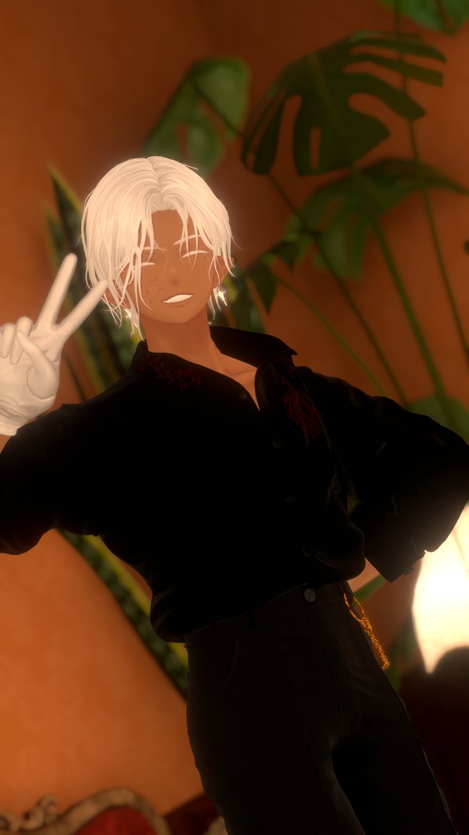 旅先の嵐。結構面倒なことではあると思うのですが、レオナール様は「少しのアクシデントならむしろ楽しめる」とわりとご機嫌です。 かくいう僕も、嵐の夜にわくわくする年はとっくに卒業したと思っていたのですが……

#VRC貴族サロン