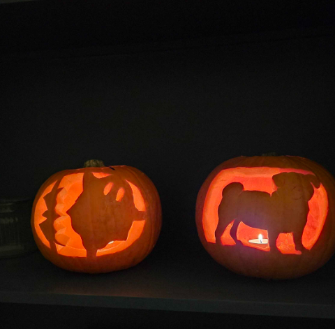 PixieCommerce's tweet photo. 🎃 Happy Halloween from the Pixie Commerce team! 👻

We’ve been getting into the spooky spirit with some pumpkin carvings!

From classic jack-o'-lanterns to other creative designs.

#halloween2025 #teampixie #pumpkincarving https://t.co/tGJt5pD5Ku