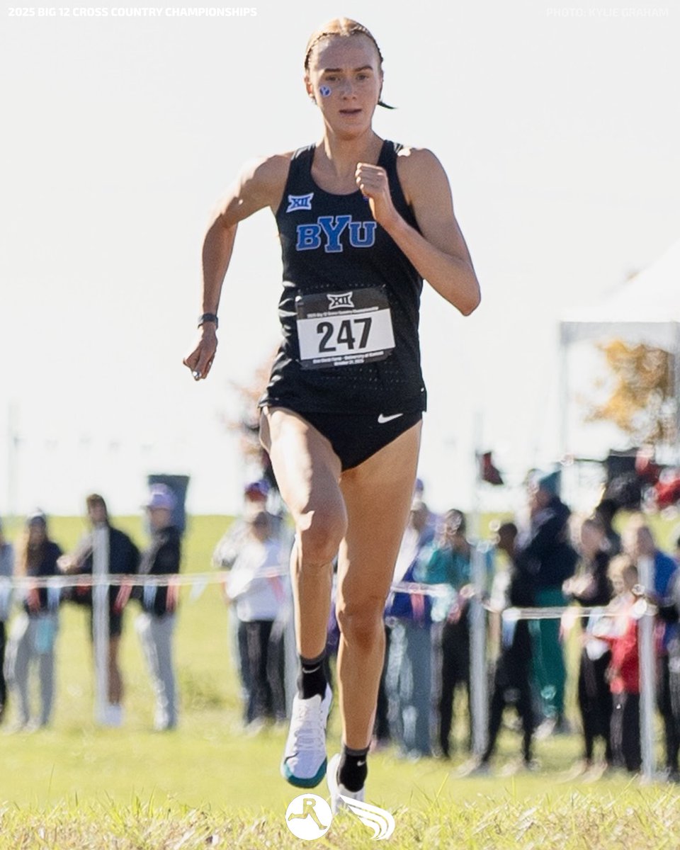 DyeStat tweet media