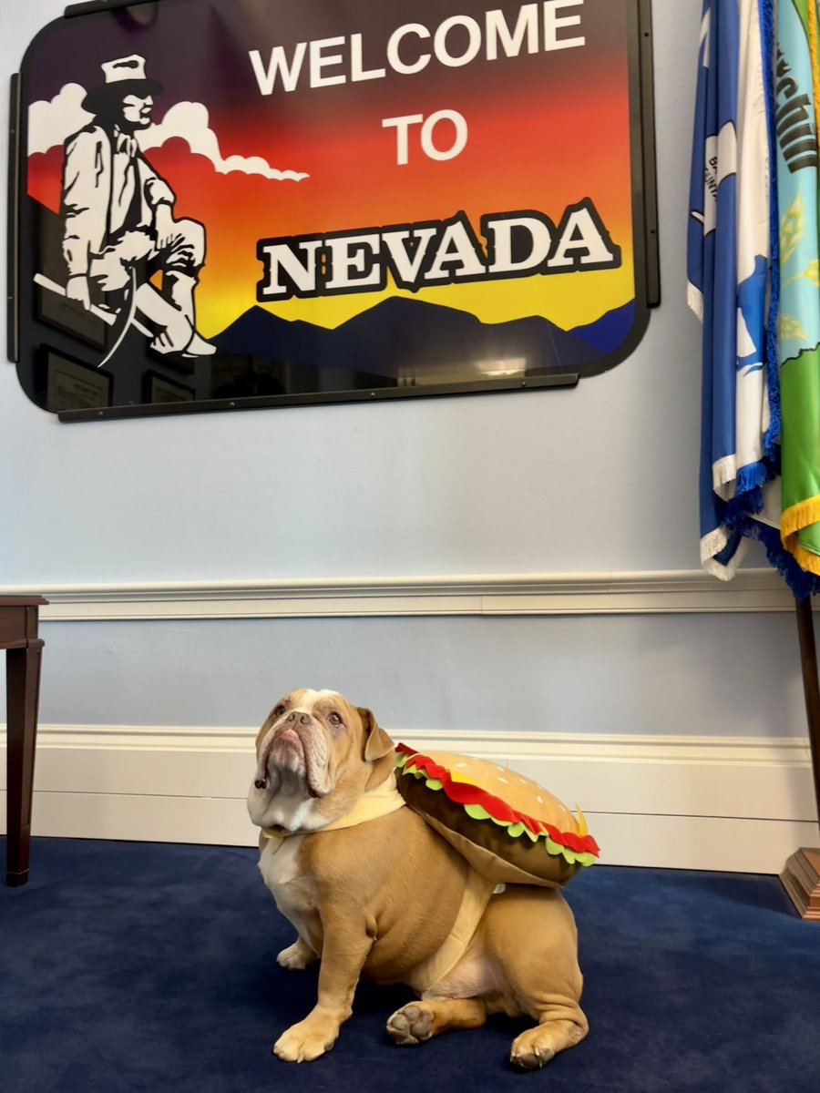 MarkAmodeiNV2's tweet image. Happy Halloween from Team Amodei’s mascot, Mr. Beefy! 🎃