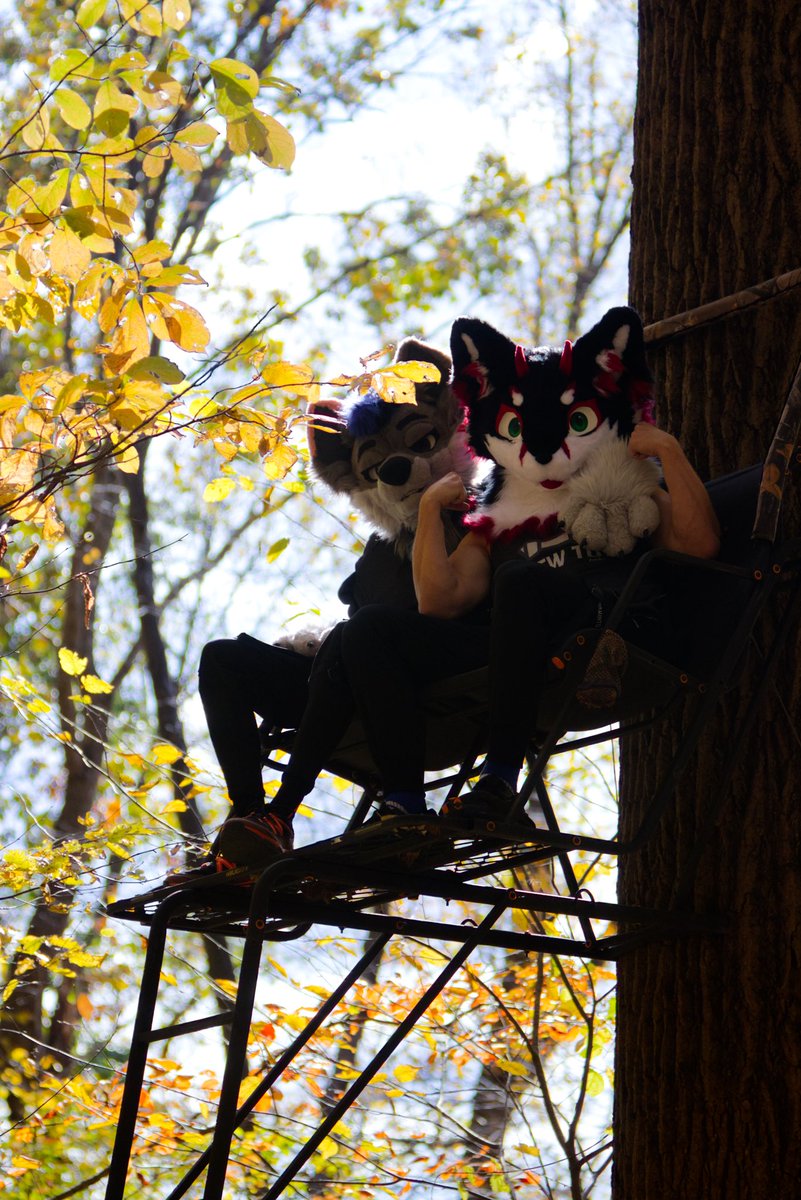 Tree Saddle? More like Homo Saddle 👨‍❤️‍💋‍👨

🐺: <a href="/PupPanic/">Panic 🔜 FANG</a> 
📸:  <a href="/CodyWuff/">Cody Wuff</a> 

#FursuitFriday