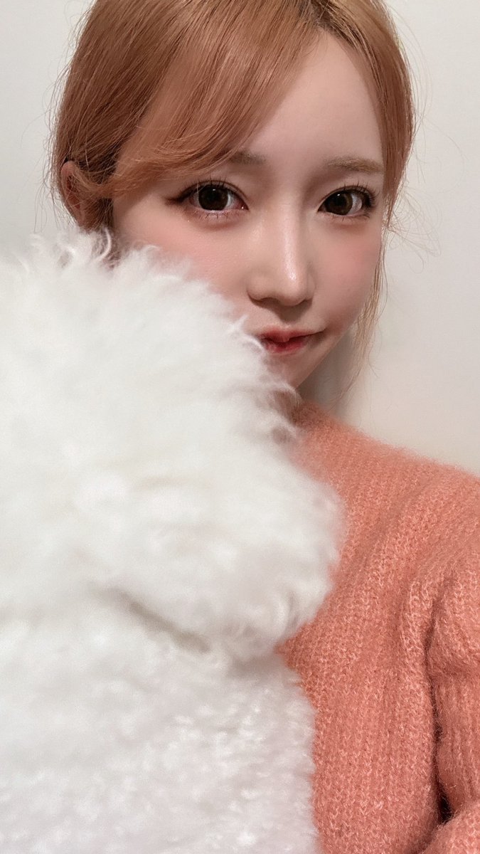 ぱくちゃん (@fuminyan1) / Posts / X