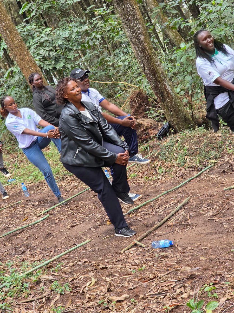 Kenya Forest Service tweet media