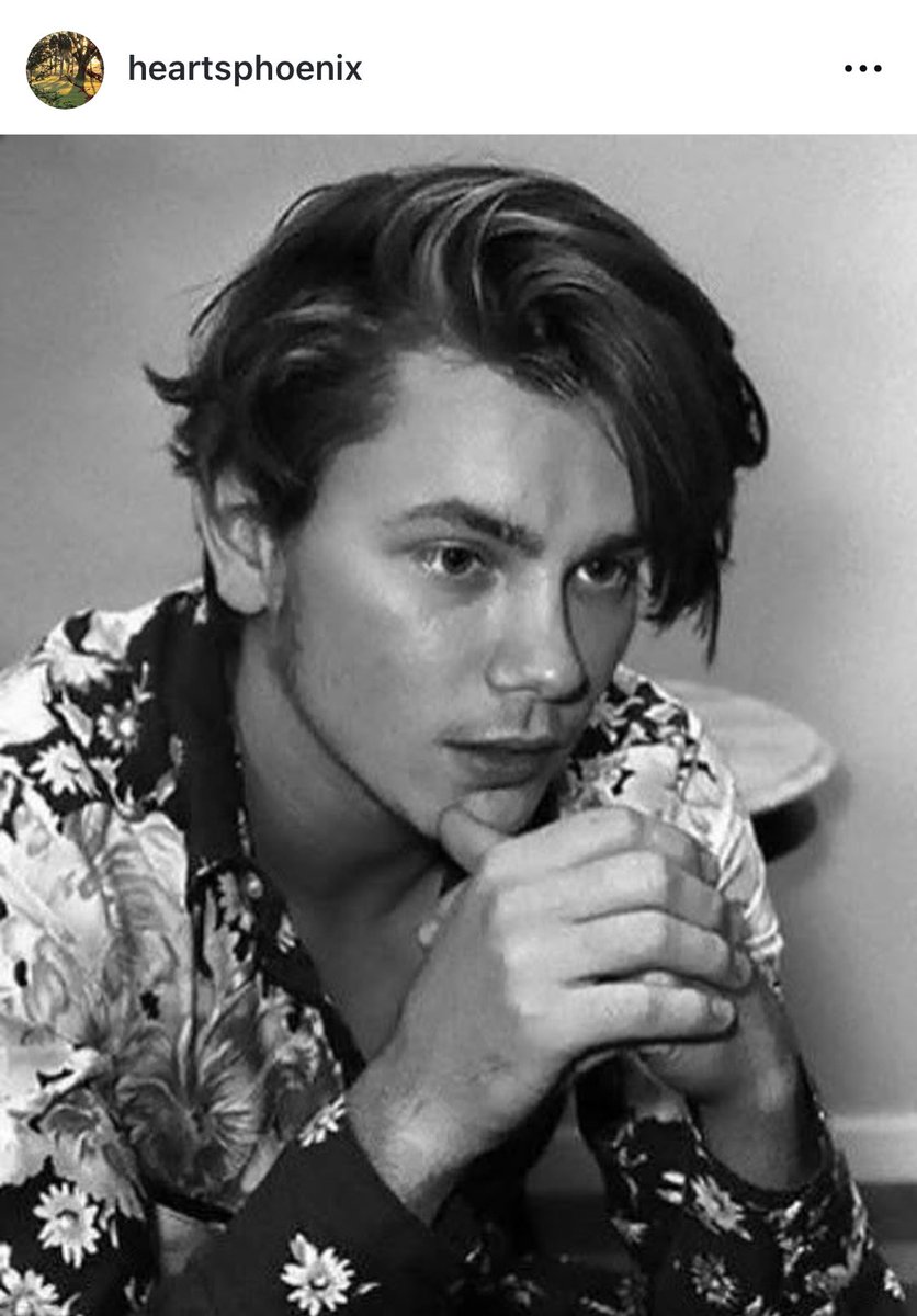 The River Phoenix Gallery tweet media