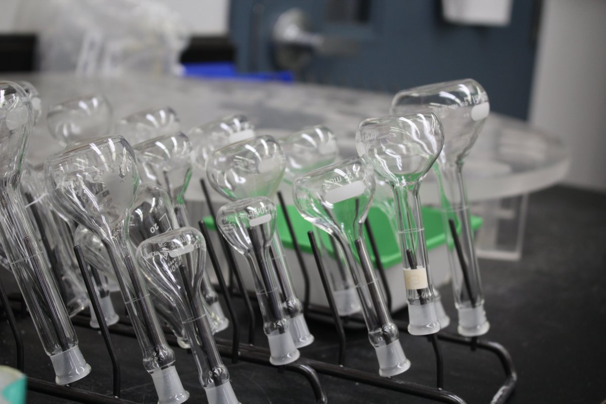 We are looking for a new Chemist!

Fit the bill? Apply. Don't? Share...

bit.ly/49eXlgn