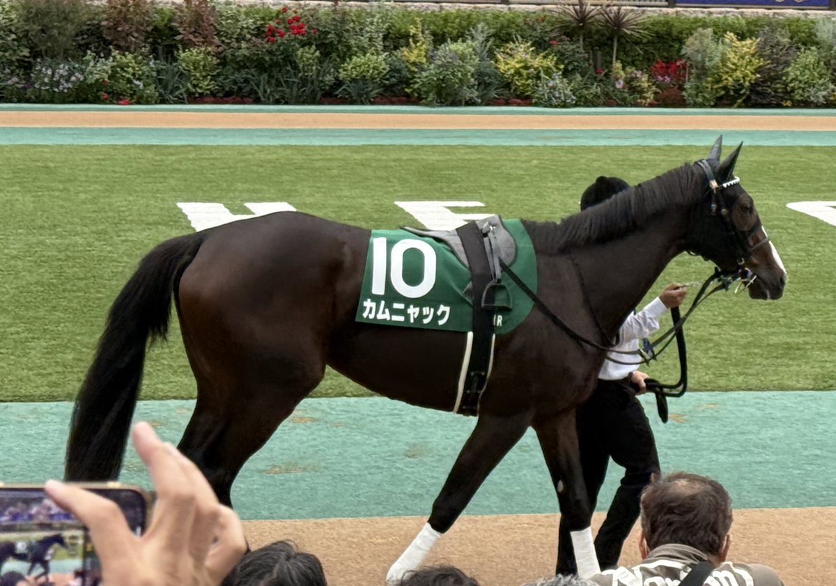 ろすお(lospro) on X