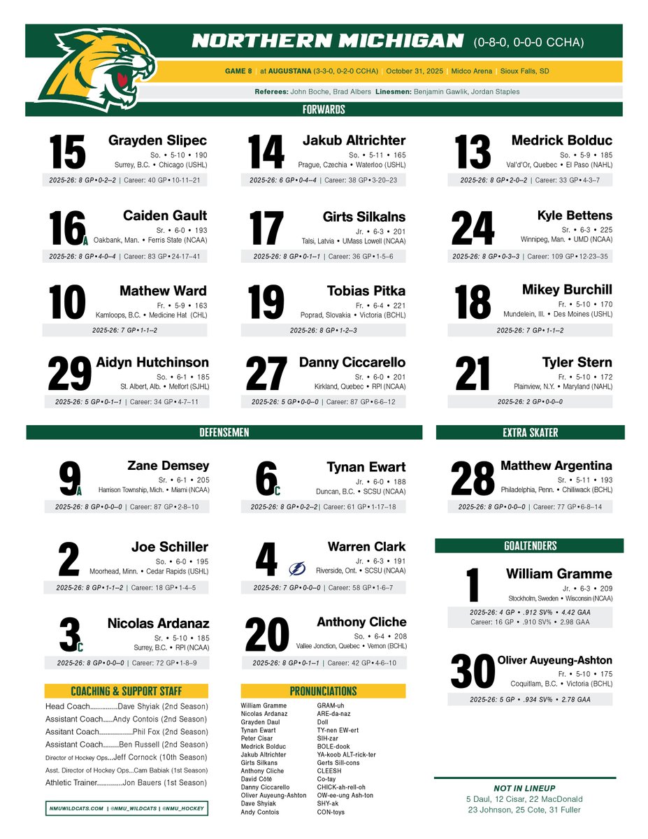 Northern Michigan Hockey tweet media