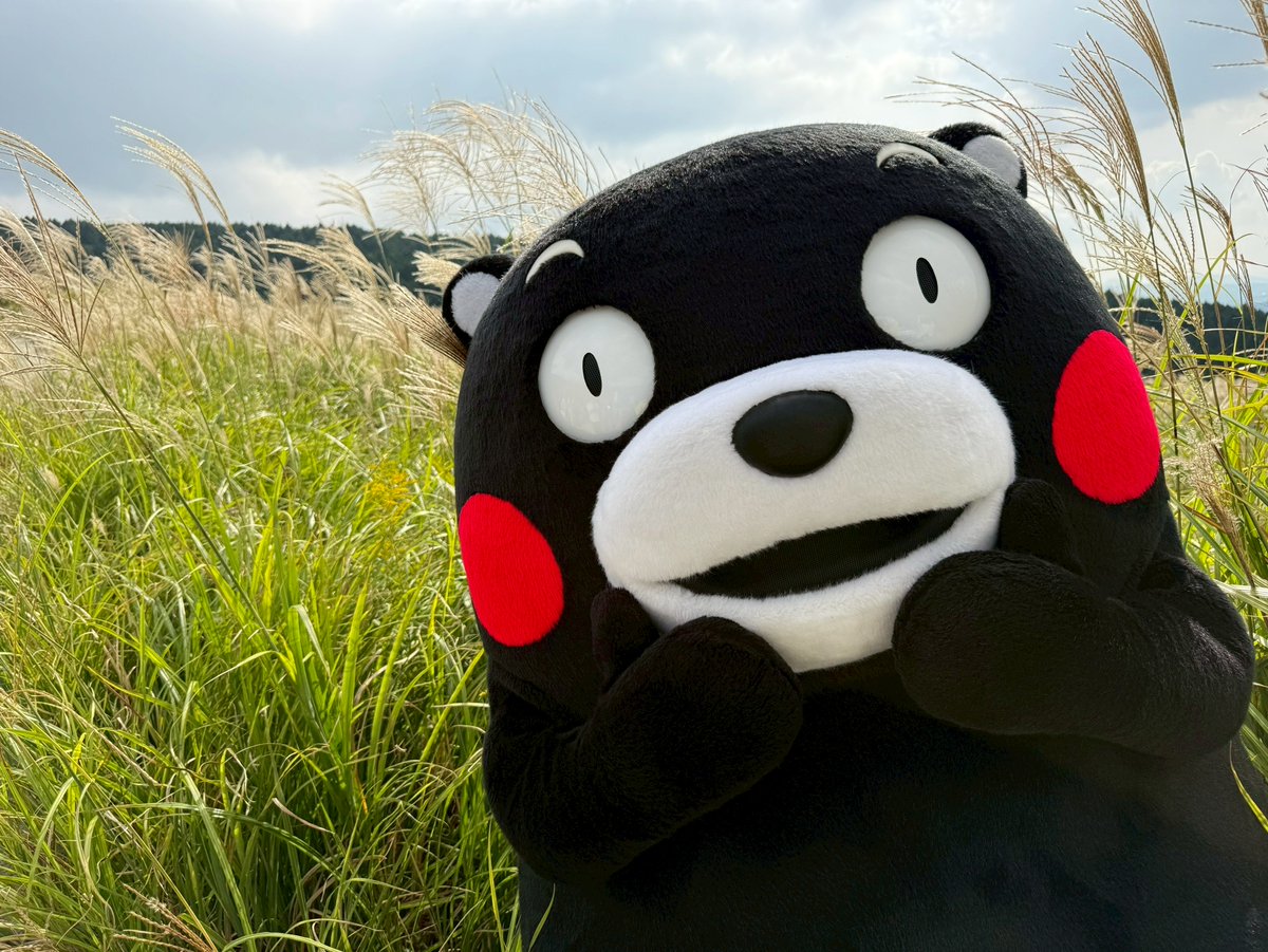 リラ@ゼクス (@relzx) / Posts / X