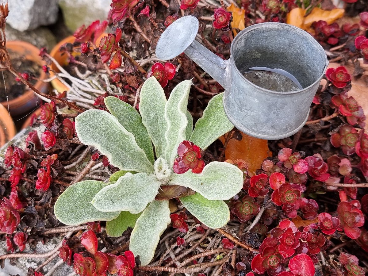 Der Oktober verabschiedet sich bunt ...