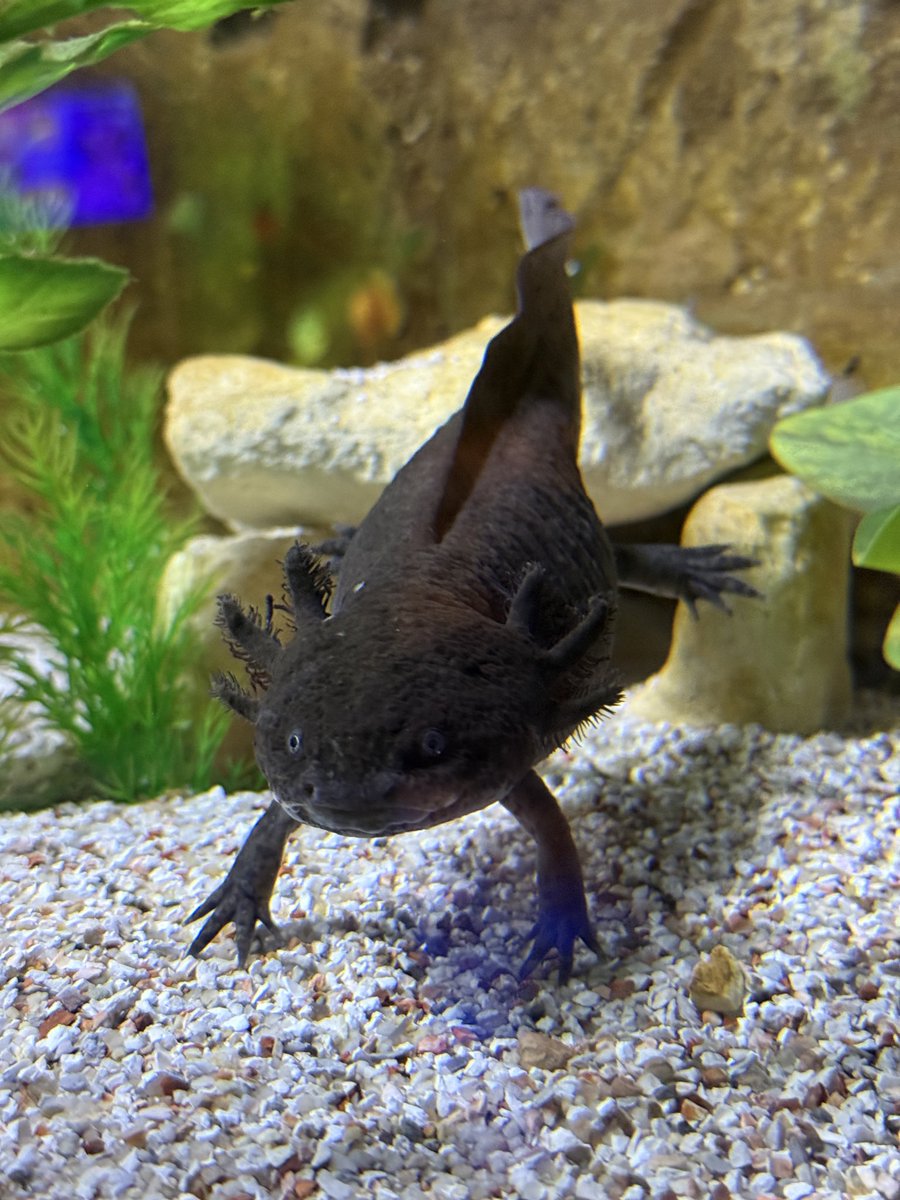 Sam Hosier tweet media