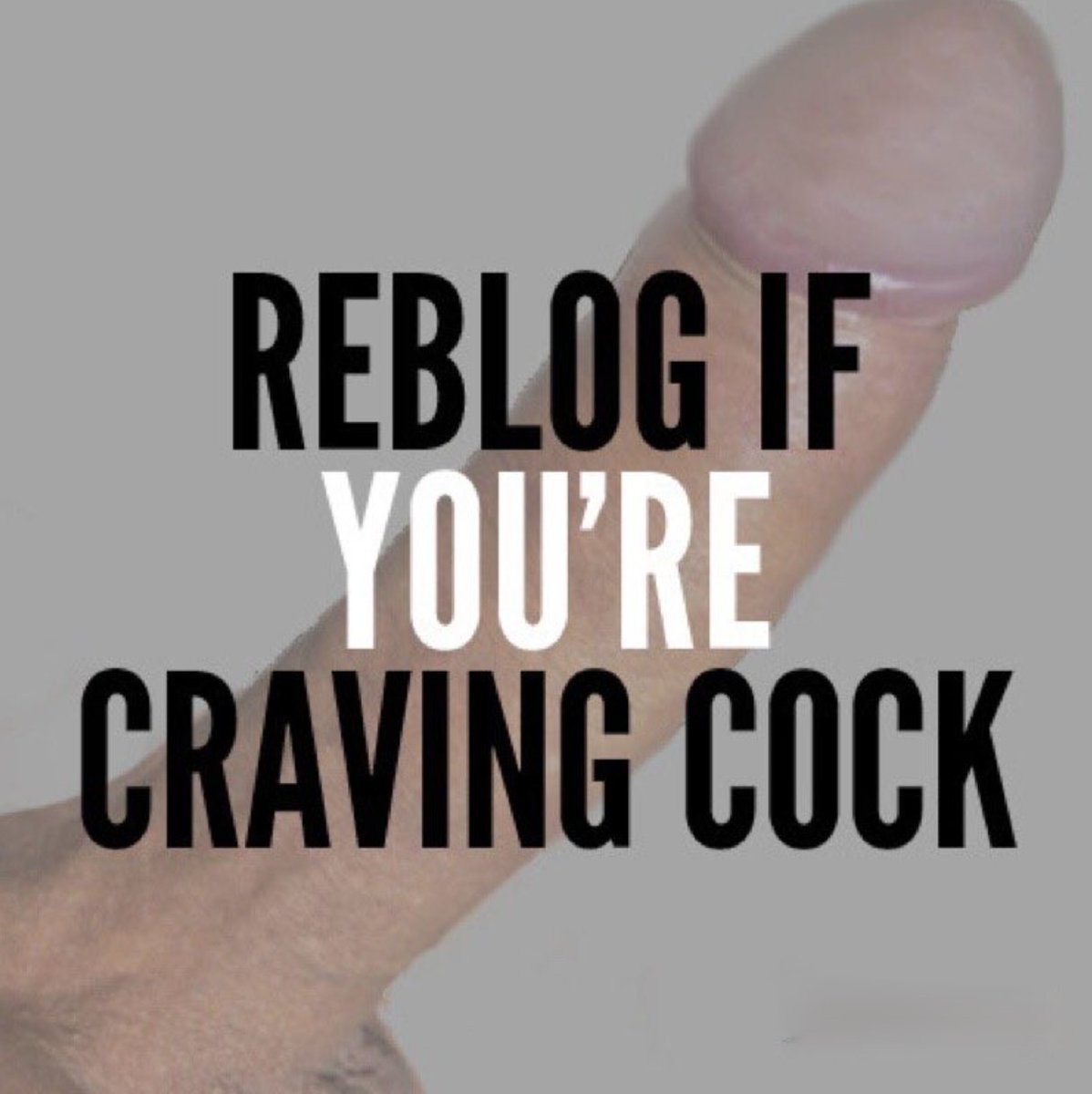 Gay Sub University🍆 (@sph4u185255) on Twitter photo 