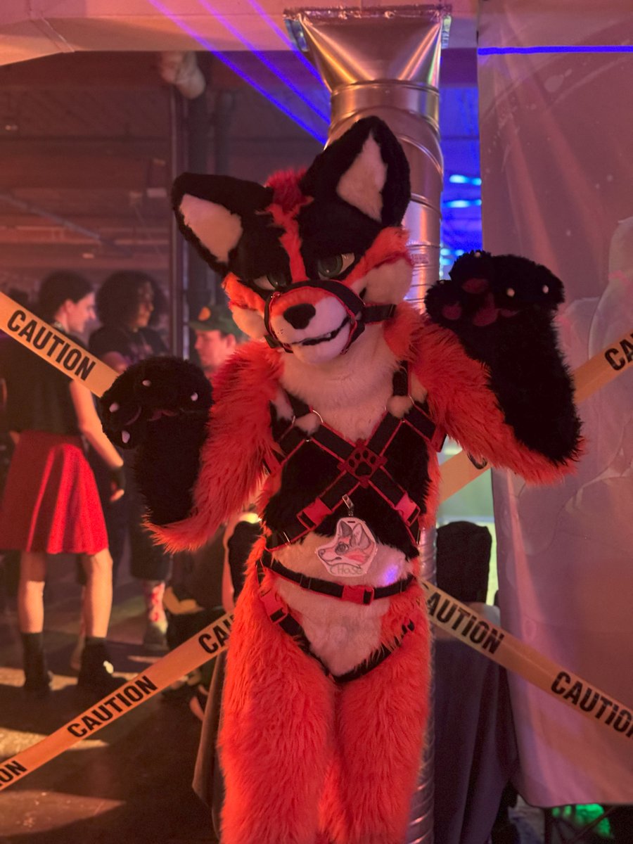 RAAAWR!!! Happy #Halloween everyone! 🎃

#FursuitFriday