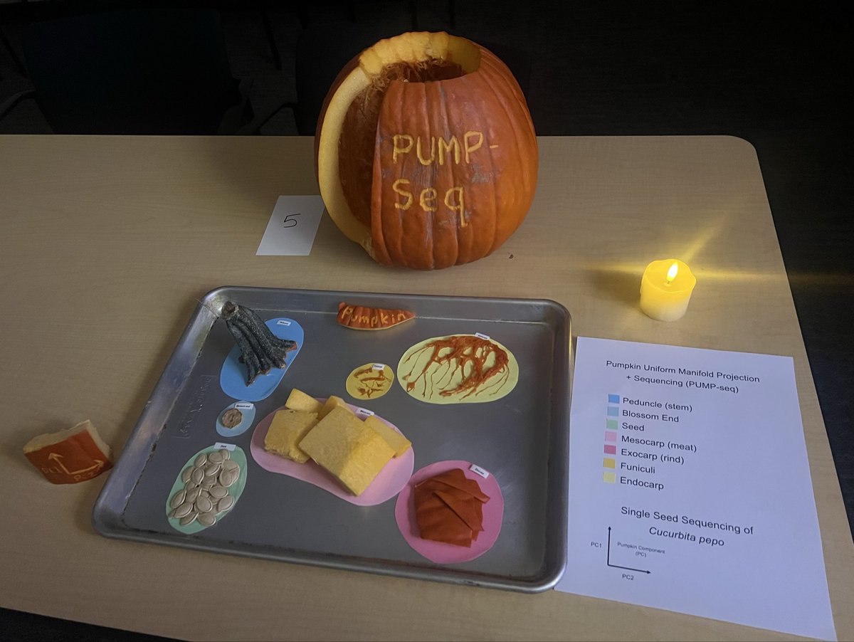 stevens1lab's tweet image. Happy Halloween 🎃! (Highlights from our department  pumpkin  carving contest)