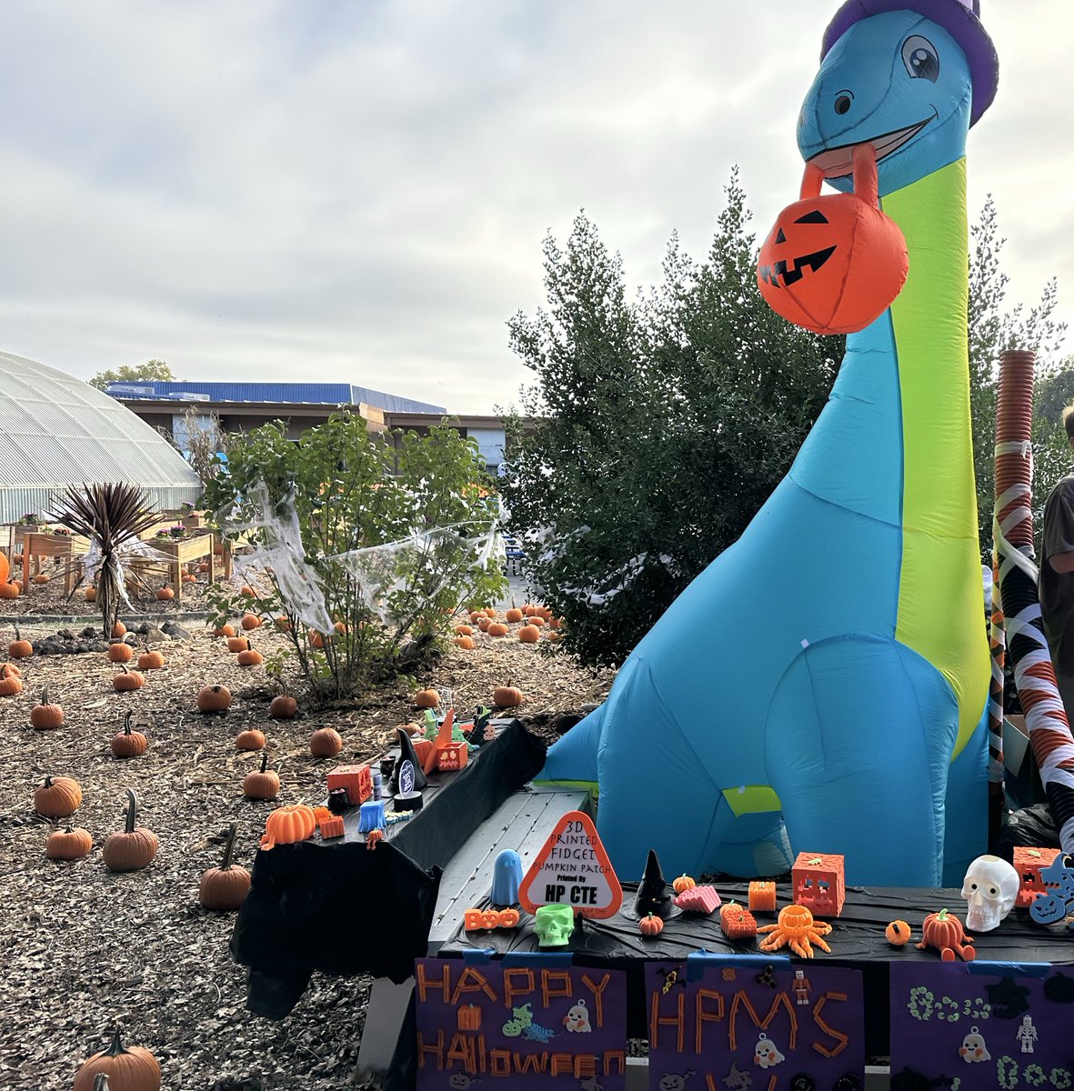 Scott Padway tweet media