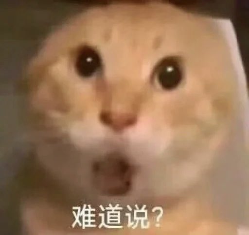 GM 早起的感觉太装逼了