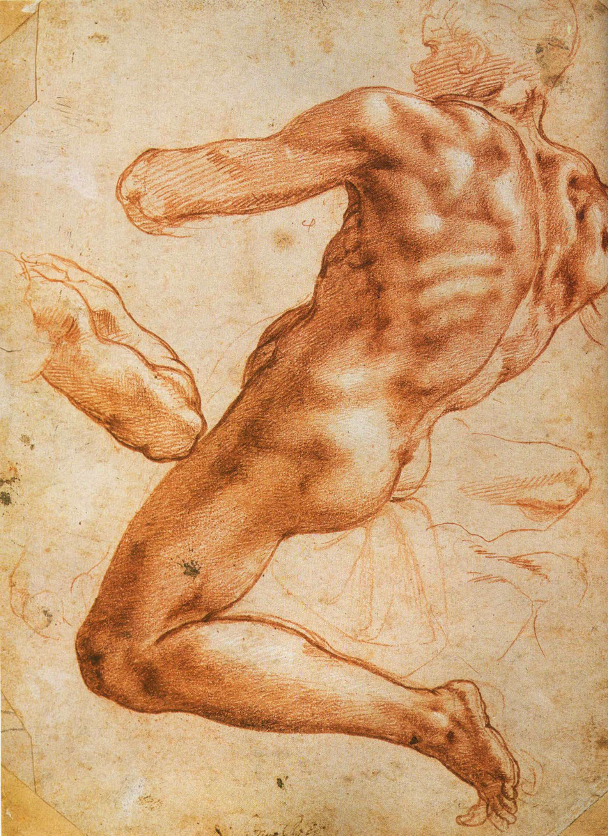 Study for an ignudo #artbots #michelangelo