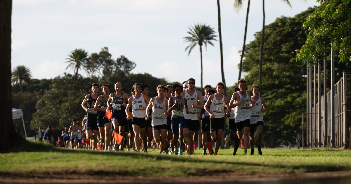 UCIcctf's tweet image. Had a great day at the Big West Cross Country Championships! 🏝️ 

Women&apos;s Recap: bit.ly/48R2qLv
Men&apos;s Recap: bit.ly/4qtuBGC

#TogetherWeZot | #RipEm