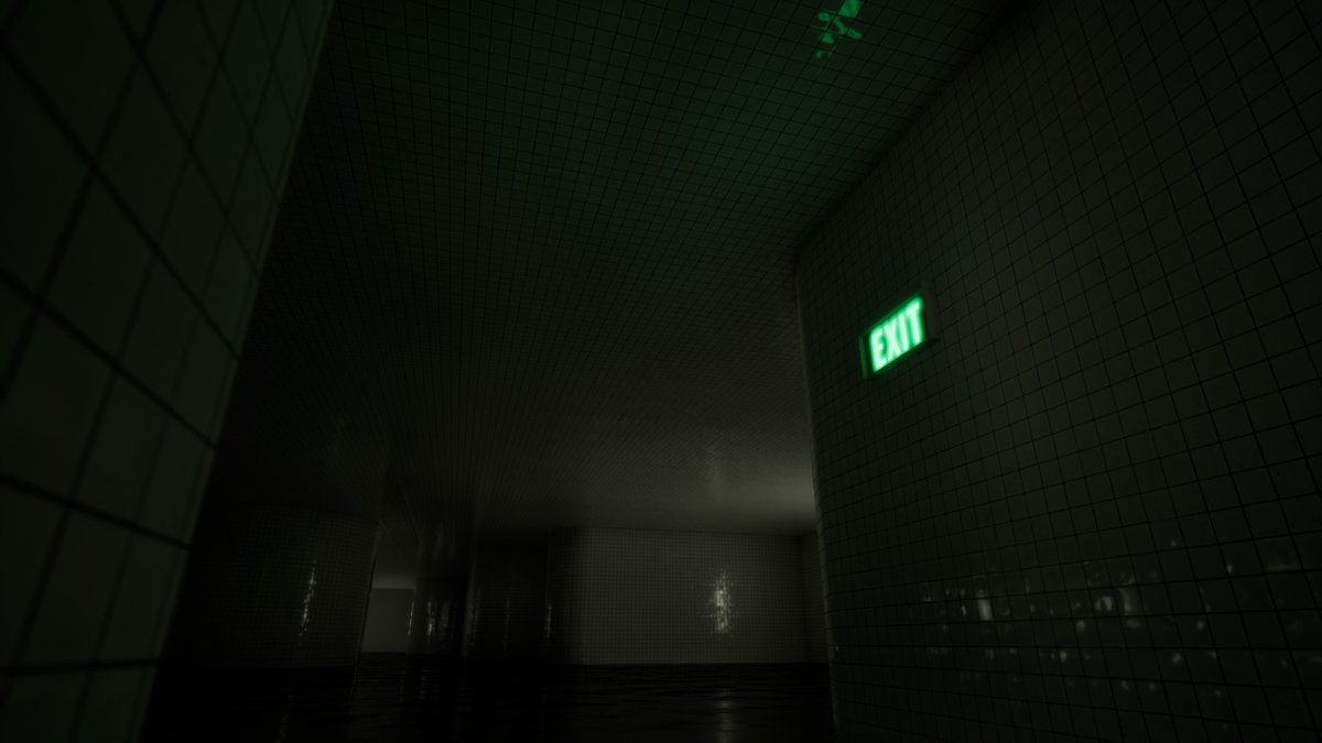 ErikaTheCat1's tweet image. #liminalspace #LiminalCore pool rooms chapter 1