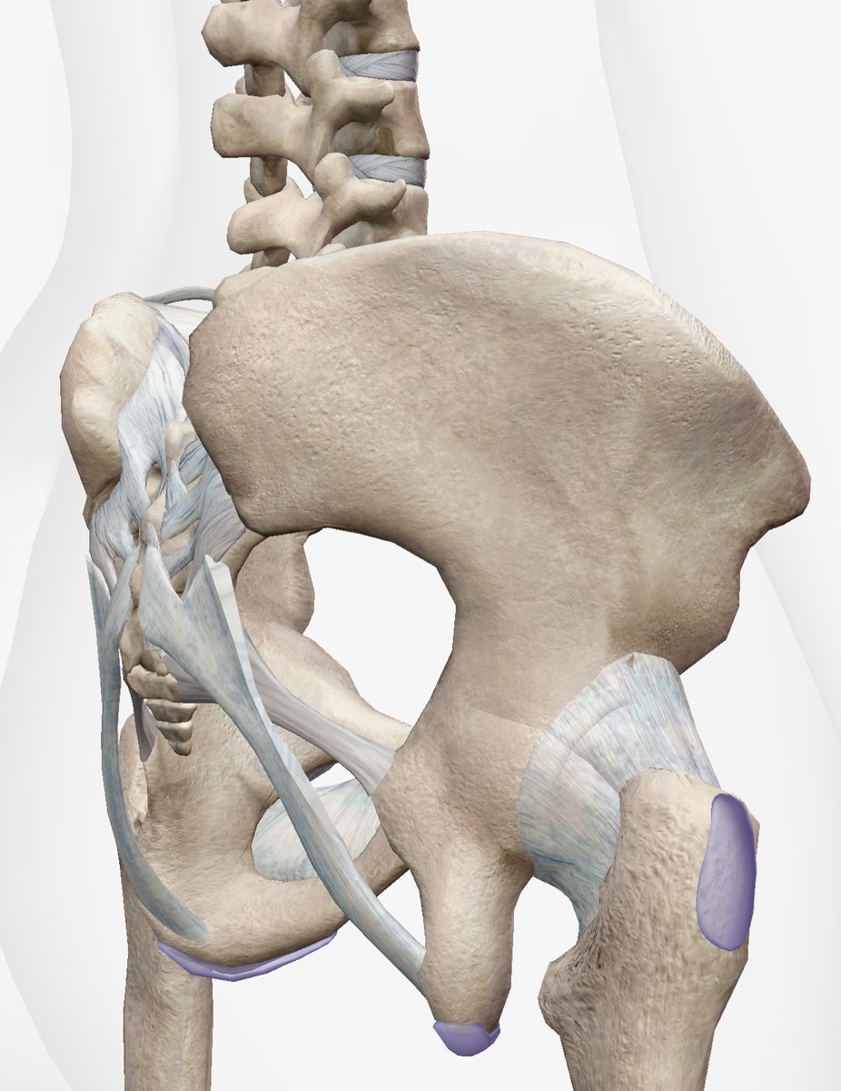 あんな・その日の疲れはその日のうちにリセットさせる専門家 on X