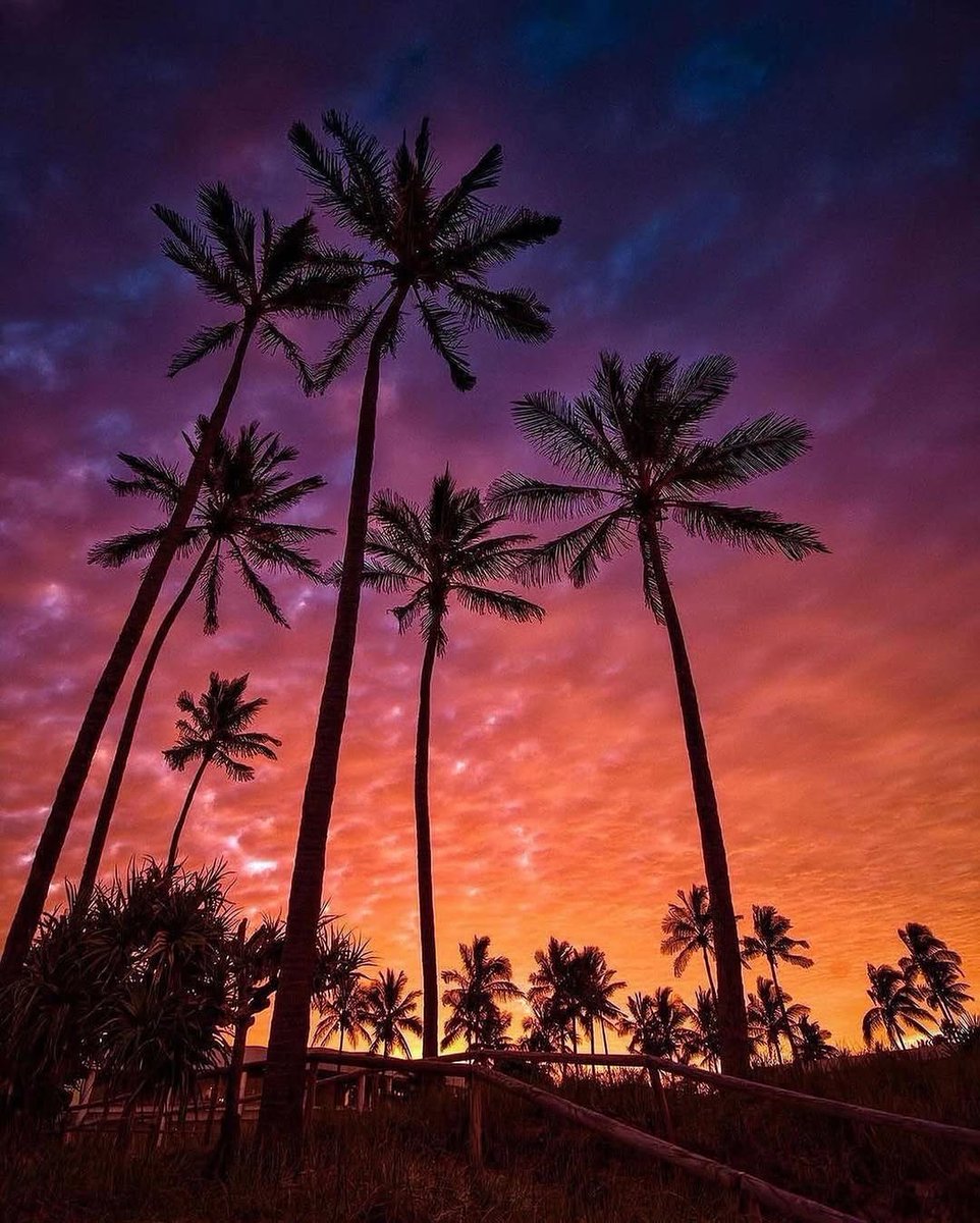 rollodyor's tweet image. GN FAM 🎃👻

If you need a follow back, drop a comment below 👇

I’ll follow back 💛