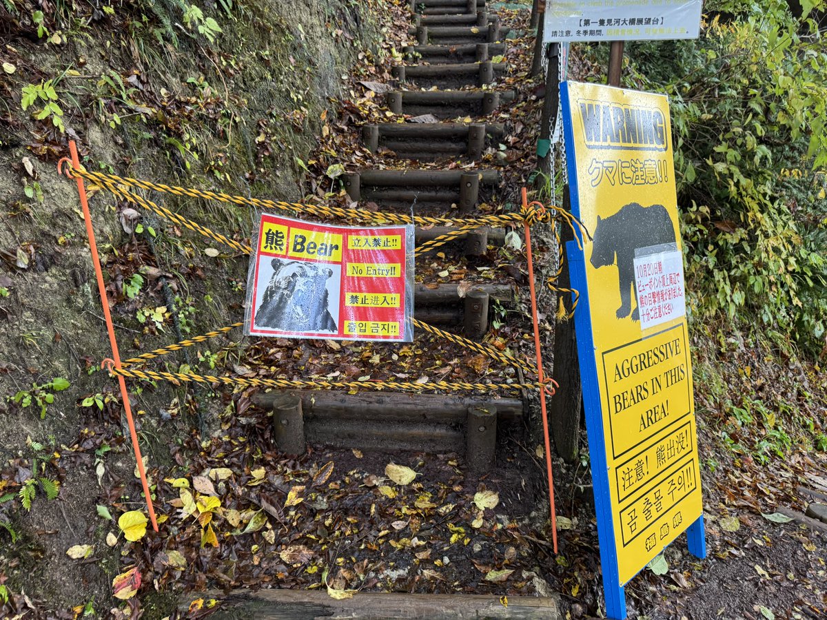 tny1202's tweet image. 只見線第1橋梁上に上がれなくて草
熊出るらしい