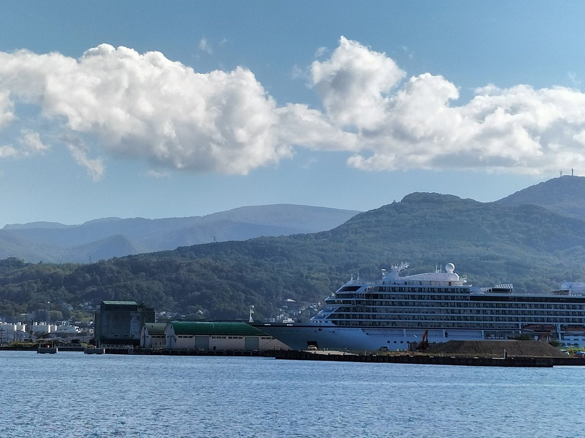 EtoHitonori's tweet image. ＃小樽よいとこ ＃小樽港
九州、四国、沖縄に🐻いない
本州では千葉県だけいないらしい
何故なんでしょうね🐻