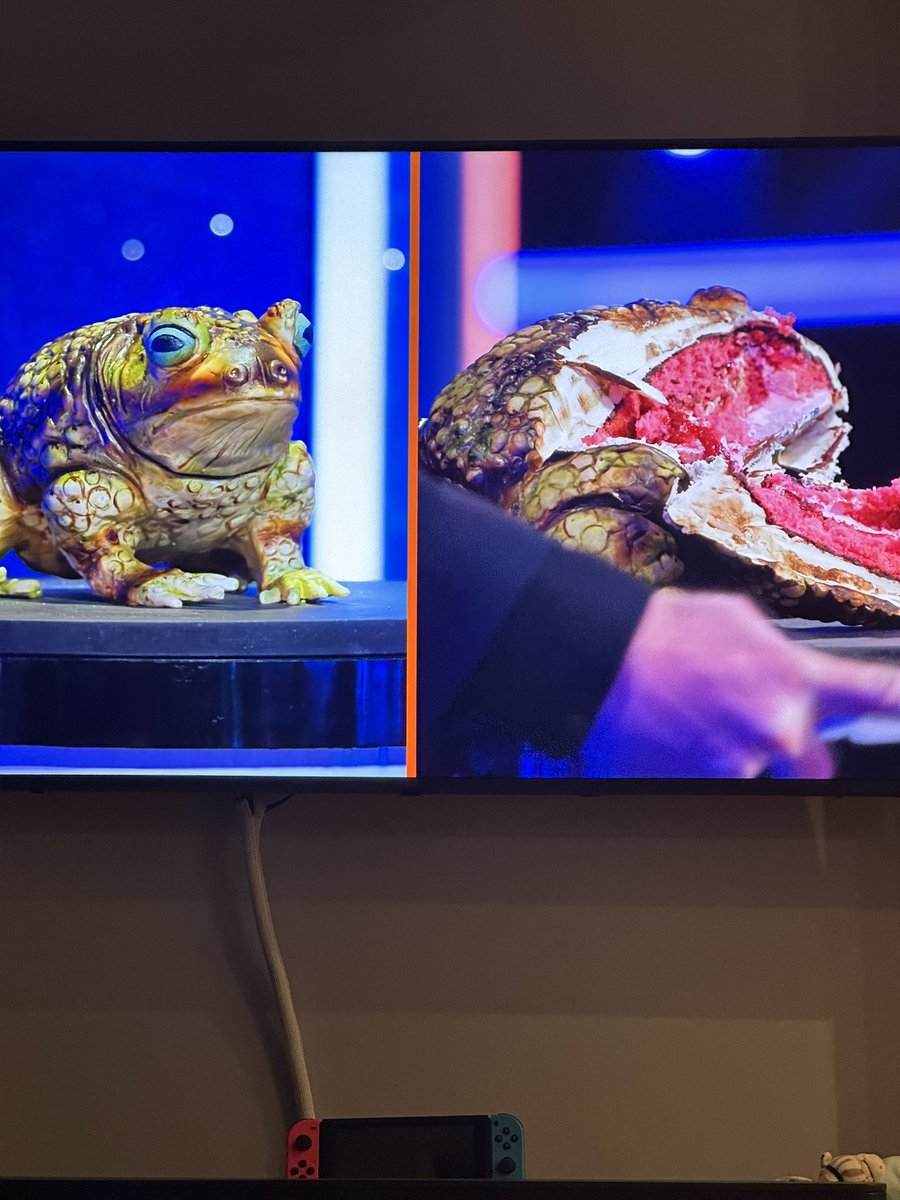 lily_is_typing's tweet photo. this has been by far the funniest part of my evening. franklin was cake https://t.co/OE4HtoUiG9