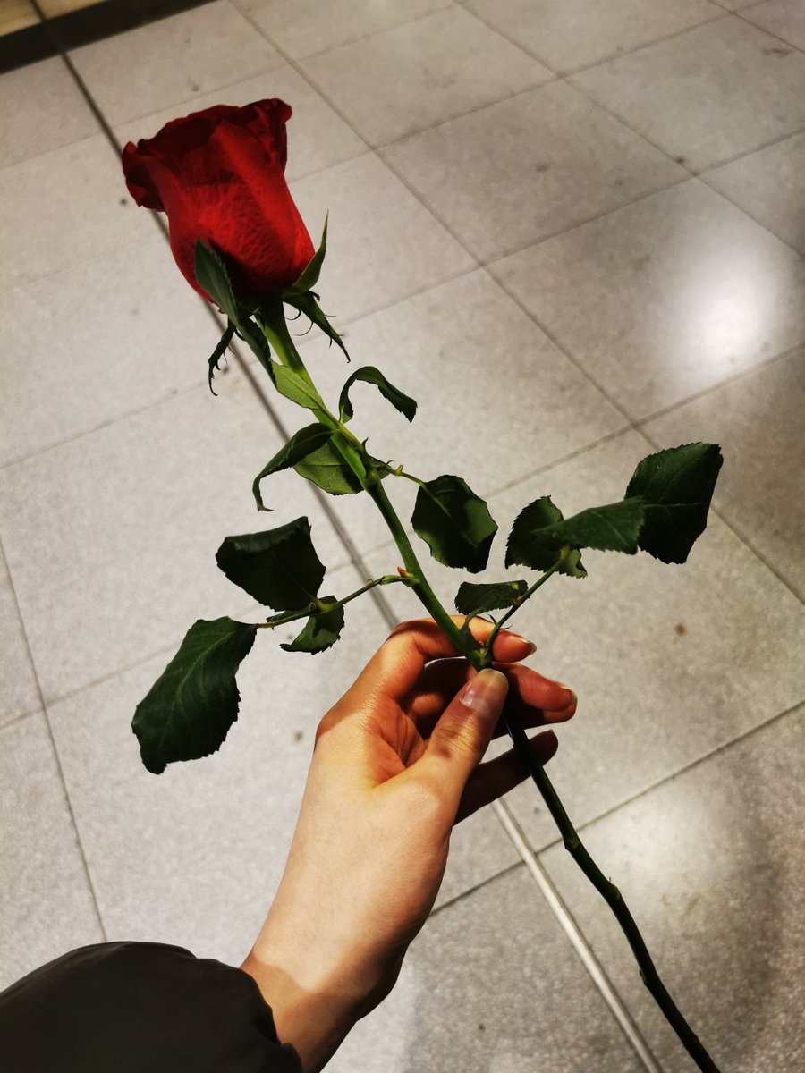 Jumpyuvu's tweet image. she&apos;s worth all the distance