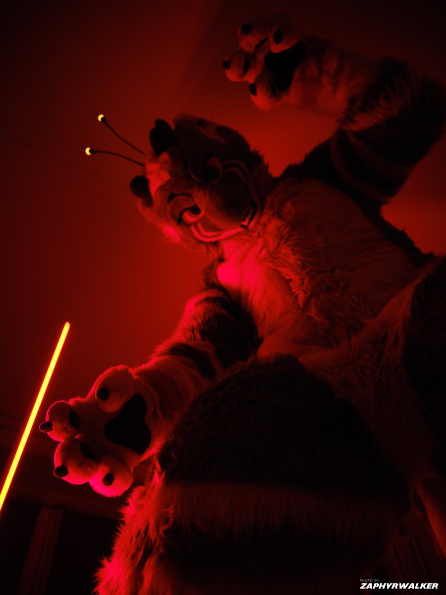 🍃Kʏᴏɴᴀɴ 🔜 NFC26 tweet media