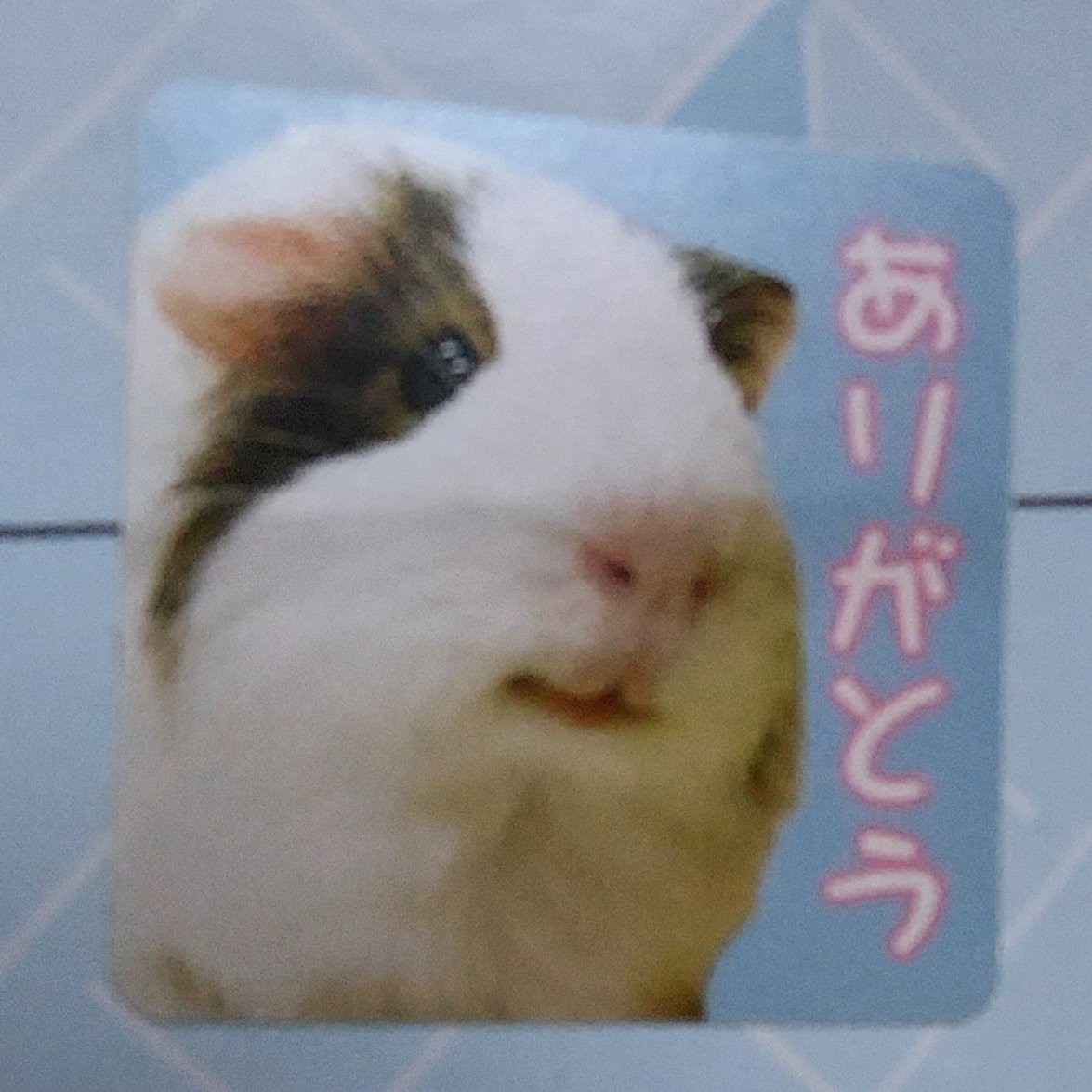 maya様御確認用ページ☆ Maya on X