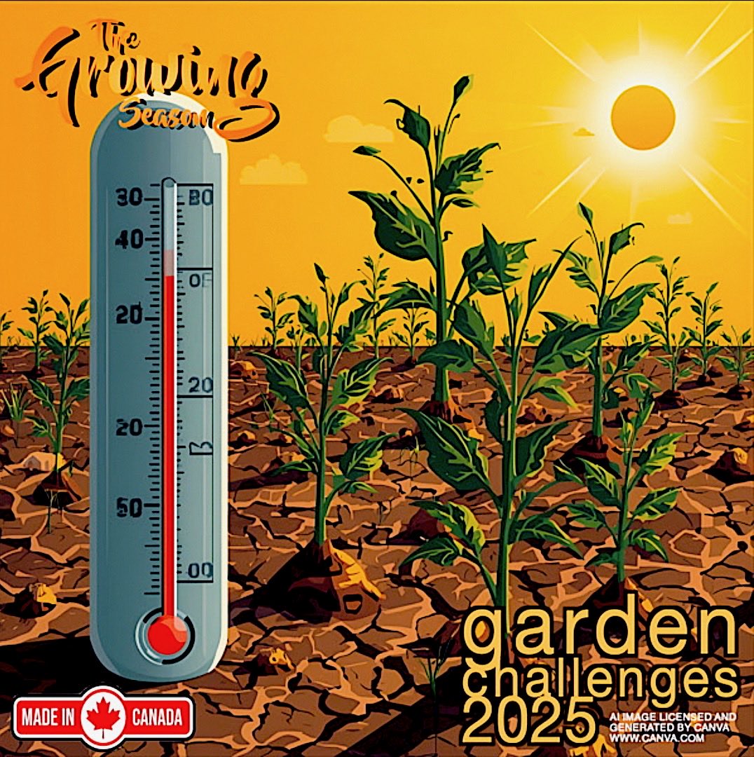 Let’s look back to the Garden Challenges of 2025 and most would admit that weather dominated our lives and watering seemed never ending.   Join The Growing Season for their Garden Challenges 2025 Show on November 1 at 12:00pm  @Sauga960am.  Enjoy!  growingseasoncanada.com