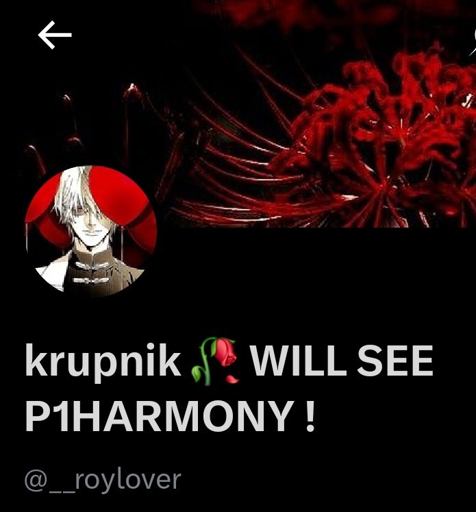 __roylover's tweet photo. HEJKA TO JA #KRUPNIK
Nowy pack, tym razem z Seobem na nowy miesiąc i udaną walkę o bilety (header jutro zmienię) https://t.co/LMPVkDzBZU