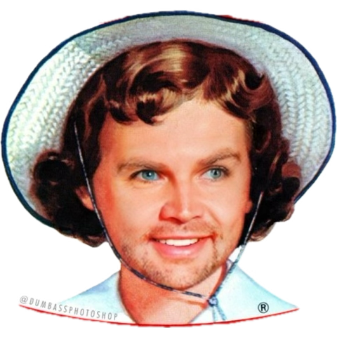 TheBirdsFault's tweet image. 