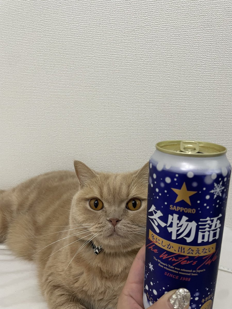 さうにゃこ🐱🔥 on X