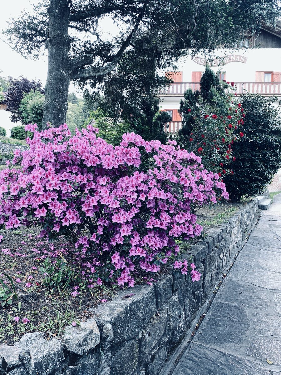 raulbarcelook's tweet image. Bella La Cumbrecita!!