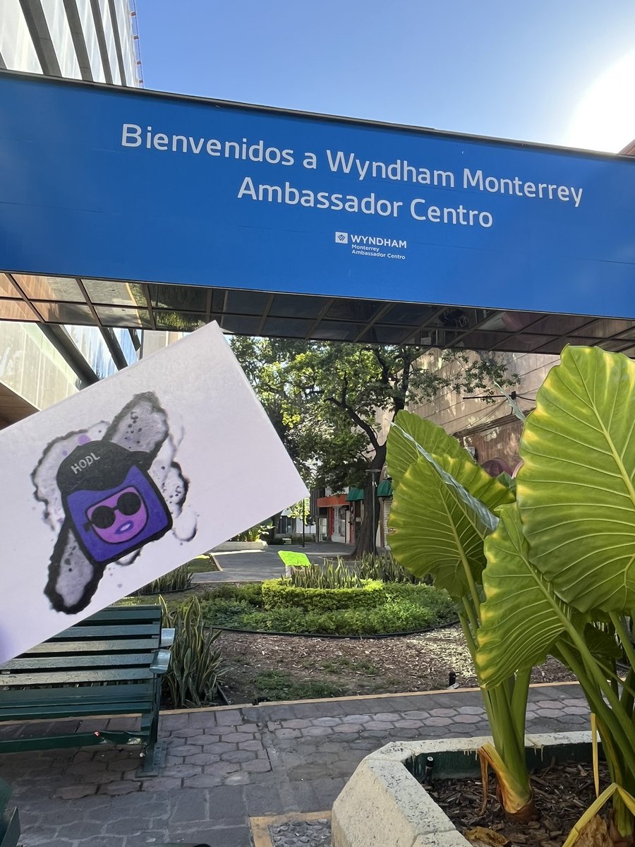 IleDesignia's tweet image. Side con  @Kalipssoh cómo activación en cowork y tips para construir. 

🔑 Key words 
“Build buddies&quot; 
Personas que, se unen para compartir conocimientos, resolver problemas y construir juntos. La colaboración es clave en un ecosistema descentralizado y abierto.

#ETHMexico2025