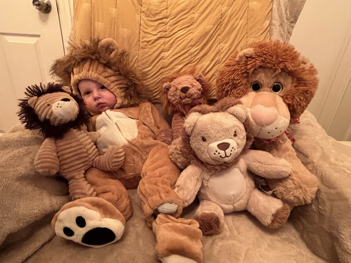 Some kids are born into families of doctors, some into families of lawyers. Others are luckier… 🦁