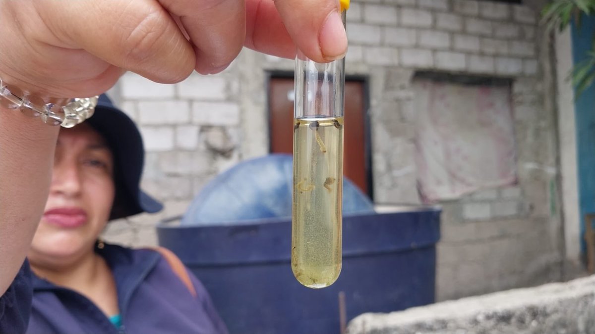 Salud_CZ8's tweet image. Complementamos la actividad con acciones de #ControlVectorial en prevención y eliminación del mosquito Aedes aegypti transmisor del #Dengue 🦟.

#ElNuevoEcuador
