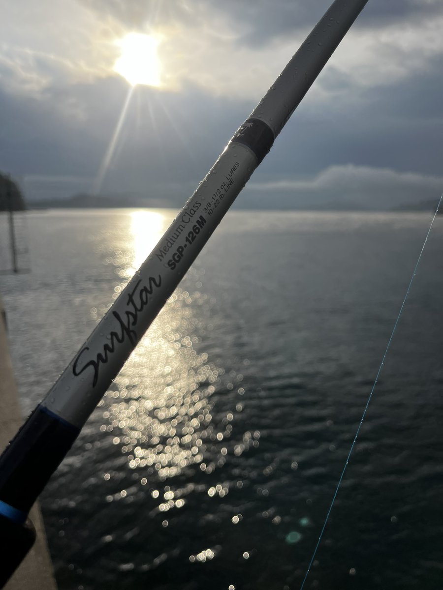 海様 SHINYAKOZUKA(シンヤコヅカ)/HJ TRENCH/Beige 通販 取り扱い-CONCRETE