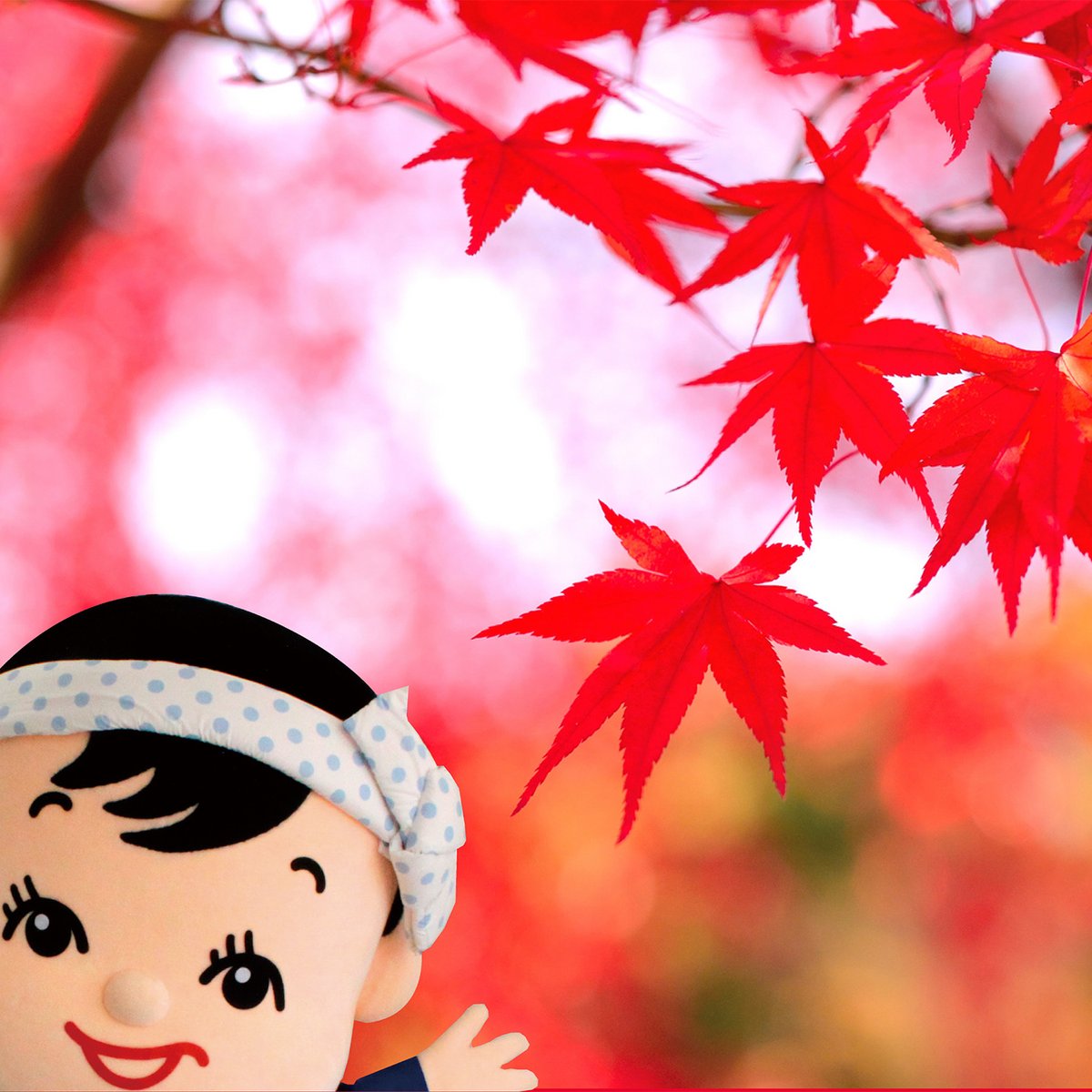 てっちゃん（カネテツ） (@tecchan_60) / Posts / X