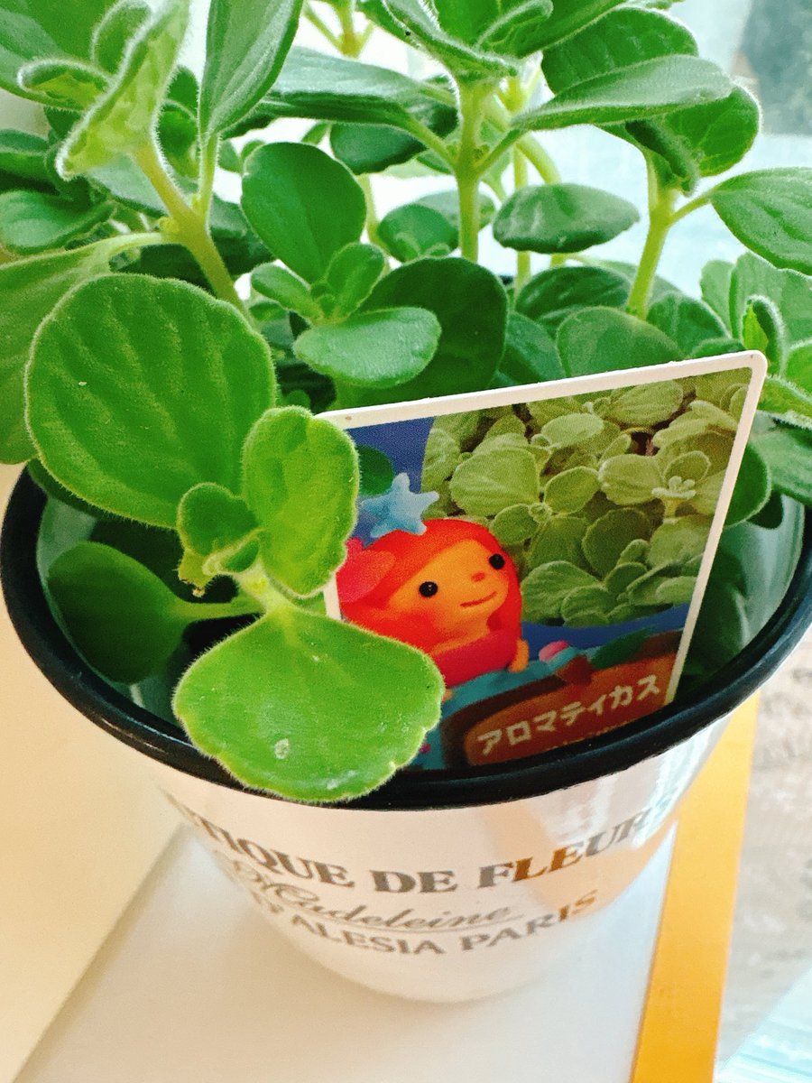 くるみ𓎩𓌉𓇋 on X