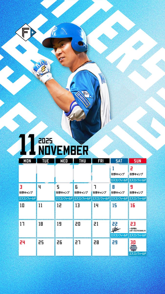 HOKKAIDO NIPPONHAM MATSUMOTO 7 Mサイズ HOKKAIDO NIPPONHAM MATSUMOTO 7 Mサイズ 北海道日本ハム